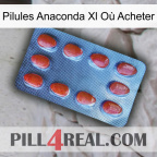Pilules Anaconda Xl Où Acheter 06